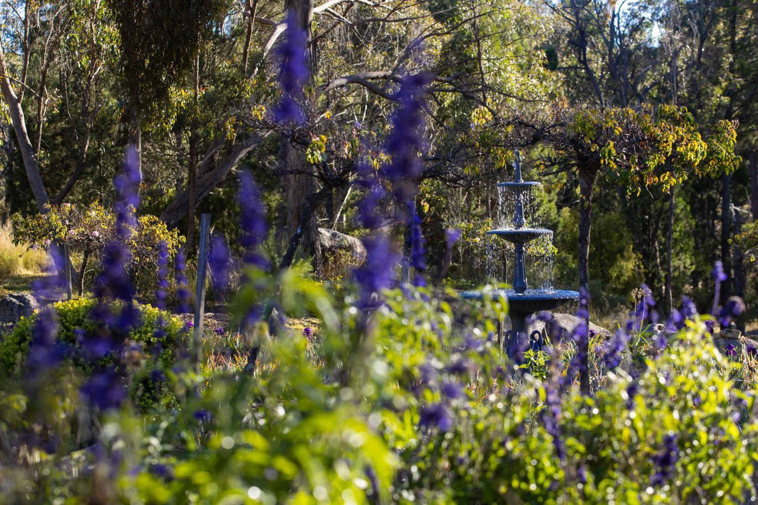 Girraween Country Inn Ballandean Zewnętrze zdjęcie